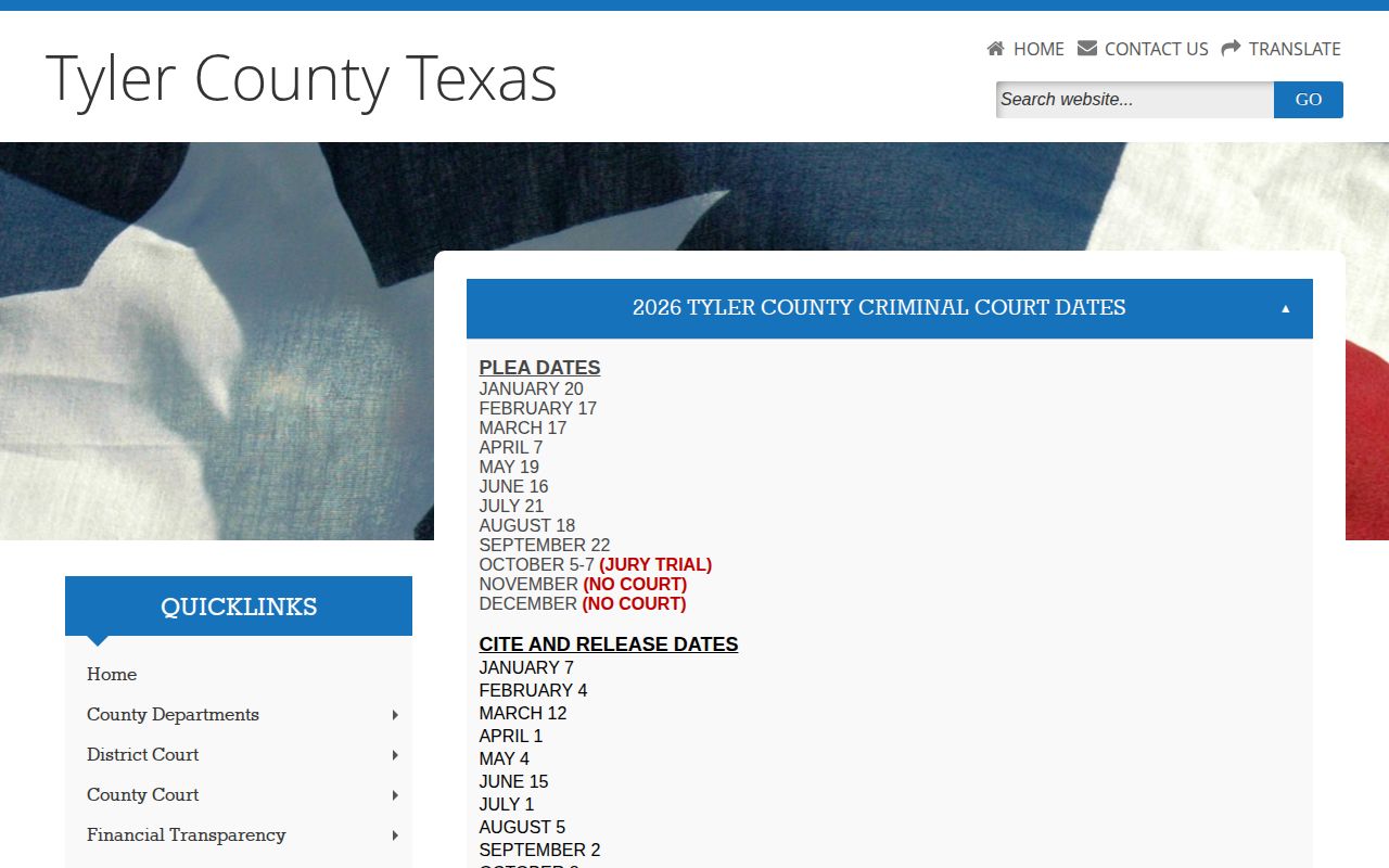 Tyler County Court docket page showing cite and release settings